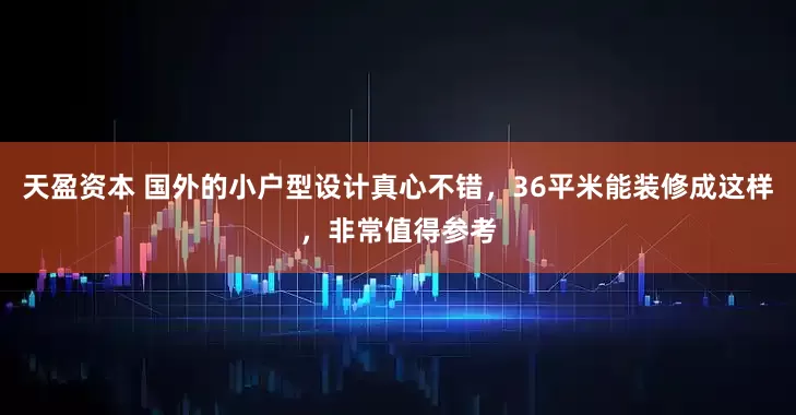 天盈资本 国外的小户型设计真心不错，36平米能装修成这样，非常值得参考