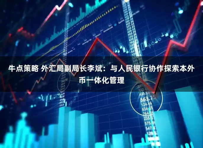 牛点策略 外汇局副局长李斌：与人民银行协作探索本外币一体化管理
