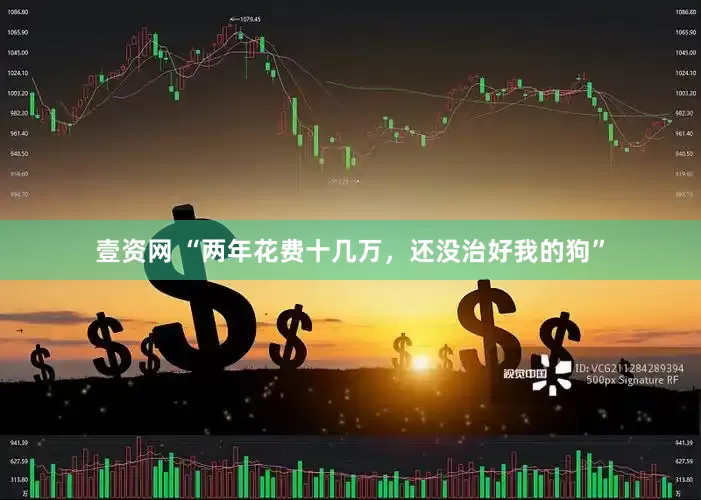 壹资网 “两年花费十几万，还没治好我的狗”