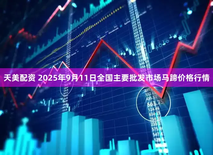 天美配资 2025年9月11日全国主要批发市场马蹄价格行情