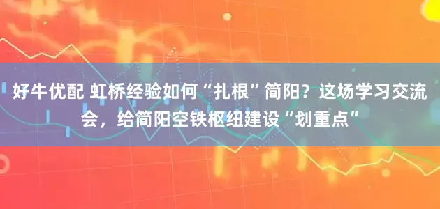 好牛优配 虹桥经验如何“扎根”简阳？这场学习交流会，给简阳空铁枢纽建设“划重点”
